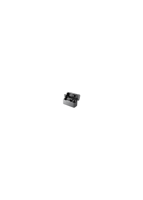DJI MIC MINI (2 émetteurs + 1 récepteur + chargeur)