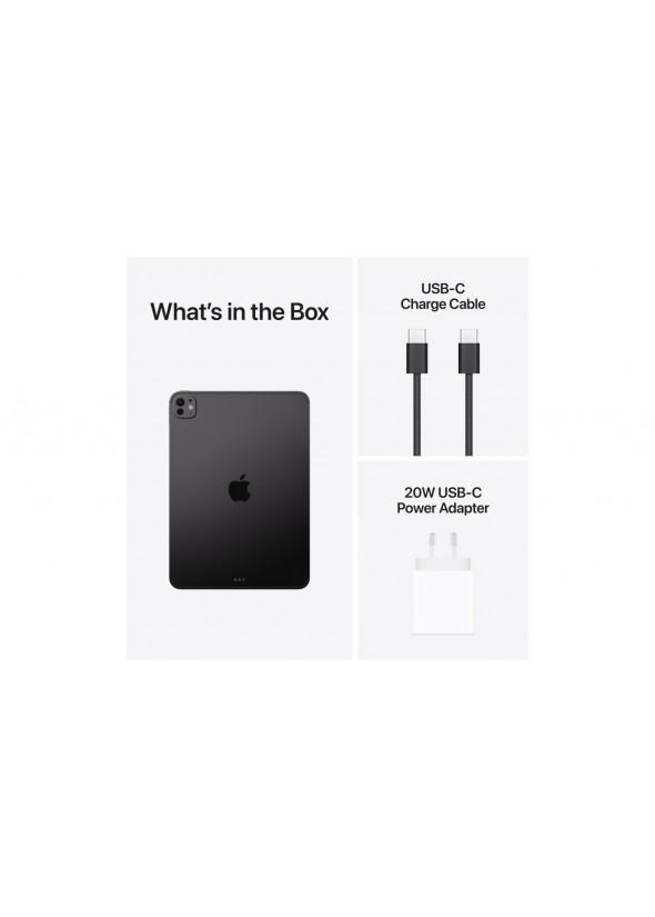 APPLE - iPad Pro M5 - 11" - Wi-Fi - 256Go SPACE BLACK